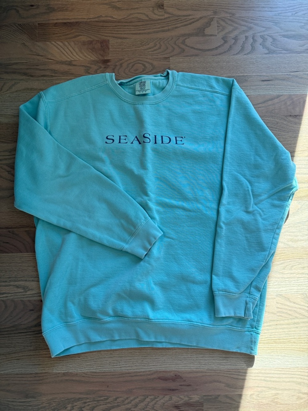 Seaside Crewneck Sweatshirt in Aqua